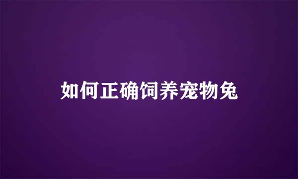 如何正确饲养宠物兔