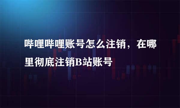 哔哩哔哩账号怎么注销，在哪里彻底注销B站账号