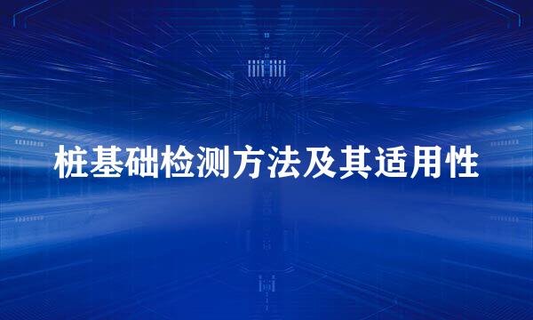 桩基础检测方法及其适用性