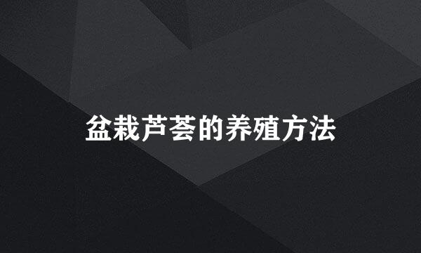 盆栽芦荟的养殖方法