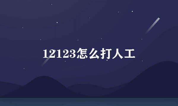 12123怎么打人工