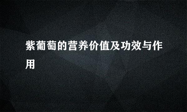 紫葡萄的营养价值及功效与作用