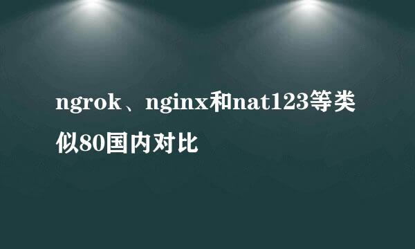ngrok、nginx和nat123等类似80国内对比