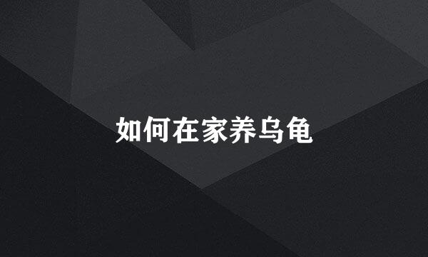 如何在家养乌龟