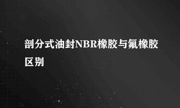 剖分式油封NBR橡胶与氟橡胶区别