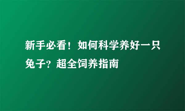 新手必看!如何科学养好一只兔子?超全饲养指南