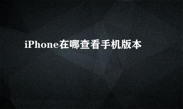 iPhone在哪查看手机版本