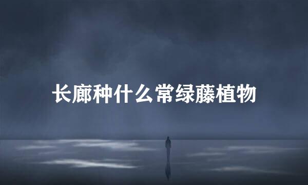 长廊种什么常绿藤植物