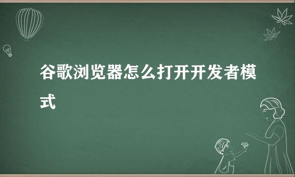 谷歌浏览器怎么打开开发者模式