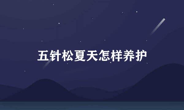 五针松夏天怎样养护