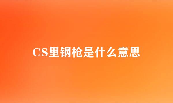 CS里钢枪是什么意思