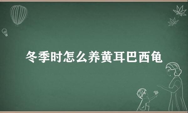 冬季时怎么养黄耳巴西龟