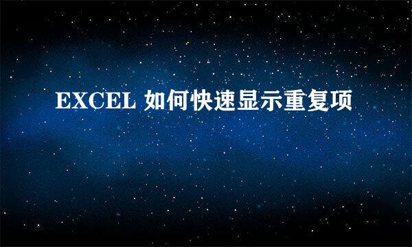EXCEL 如何快速显示重复项
