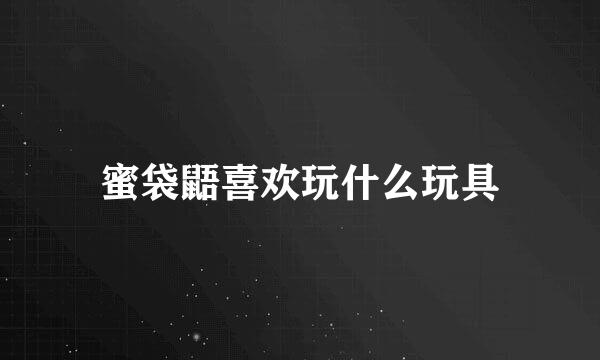 蜜袋鼯喜欢玩什么玩具