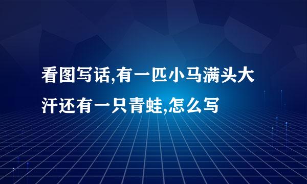 看图写话,有一匹小马满头大汗还有一只青蛙,怎么写