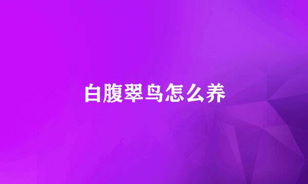 白腹翠鸟怎么养