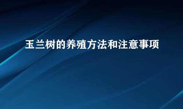玉兰树的养殖方法和注意事项