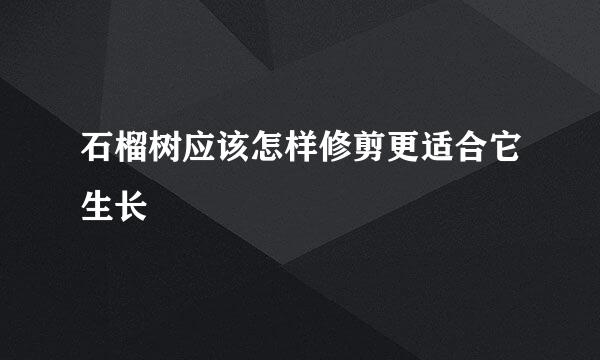 石榴树应该怎样修剪更适合它生长