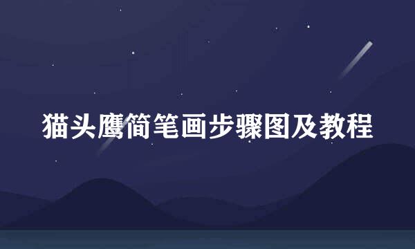 猫头鹰简笔画步骤图及教程