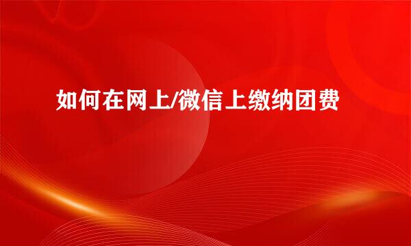 如何在网上/微信上缴纳团费
