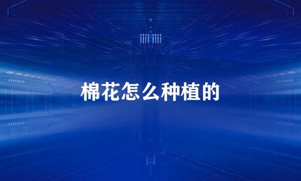 棉花怎么种植的