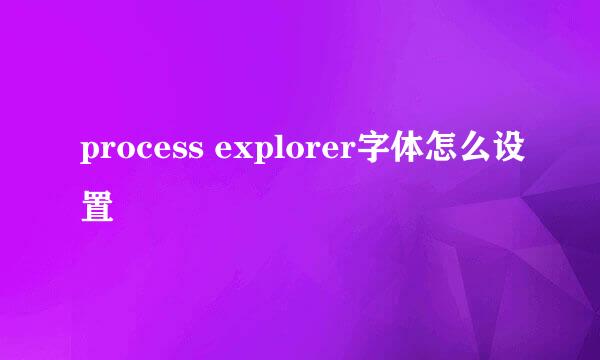 process explorer字体怎么设置