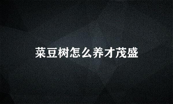 菜豆树怎么养才茂盛