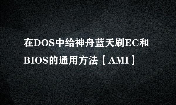 在DOS中给神舟蓝天刷EC和BIOS的通用方法【AMI】