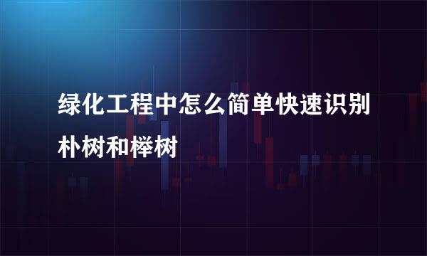 绿化工程中怎么简单快速识别朴树和榉树