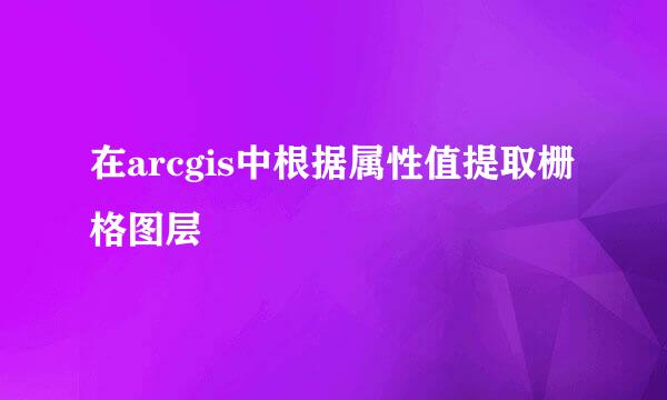 在arcgis中根据属性值提取栅格图层