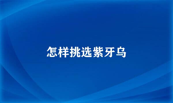 怎样挑选紫牙乌