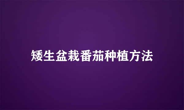 矮生盆栽番茄种植方法