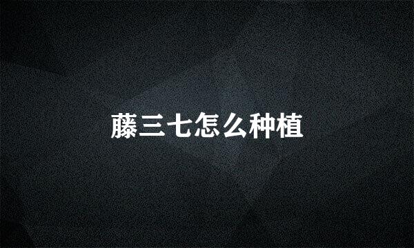 藤三七怎么种植