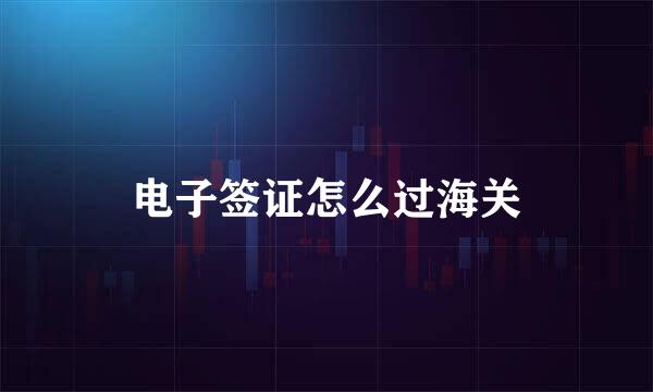 电子签证怎么过海关