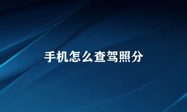 手机怎么查驾照分