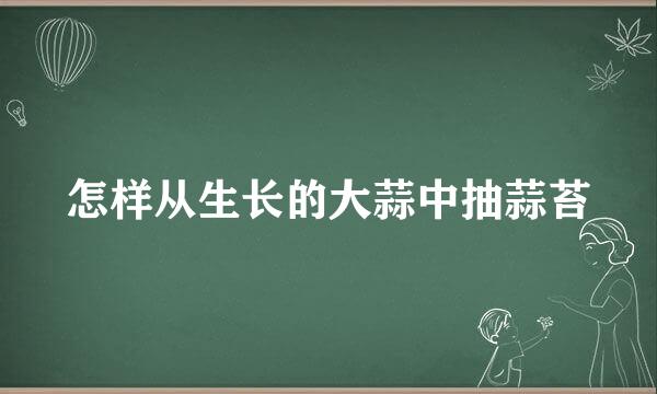 怎样从生长的大蒜中抽蒜苔