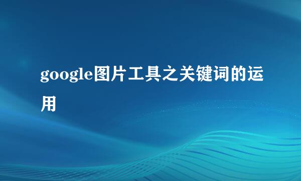google图片工具之关键词的运用