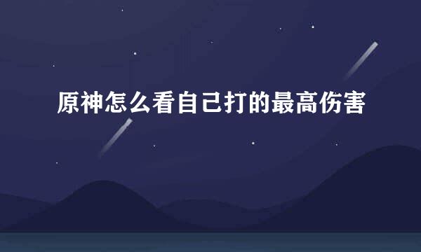 原神怎么看自己打的最高伤害