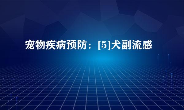 宠物疾病预防：[5]犬副流感