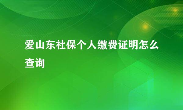 爱山东社保个人缴费证明怎么查询