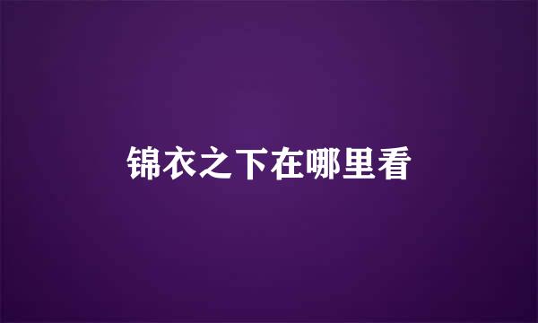 锦衣之下在哪里看