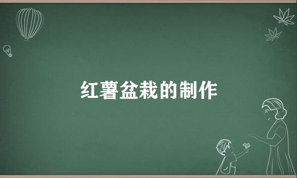 红薯盆栽的制作