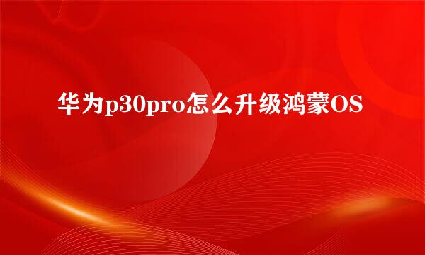 华为p30pro怎么升级鸿蒙OS