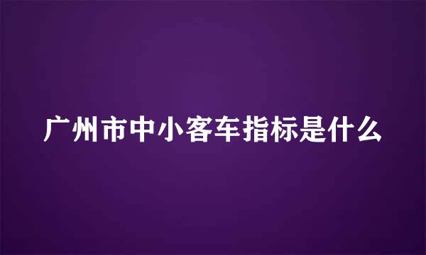 广州市中小客车指标是什么