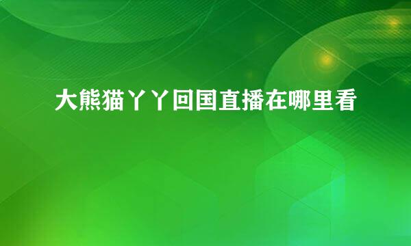 大熊猫丫丫回国直播在哪里看
