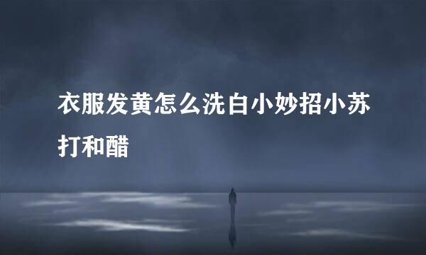 衣服发黄怎么洗白小妙招小苏打和醋