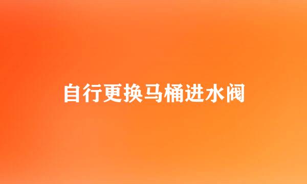 自行更换马桶进水阀