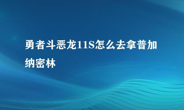 勇者斗恶龙11S怎么去拿普加纳密林
