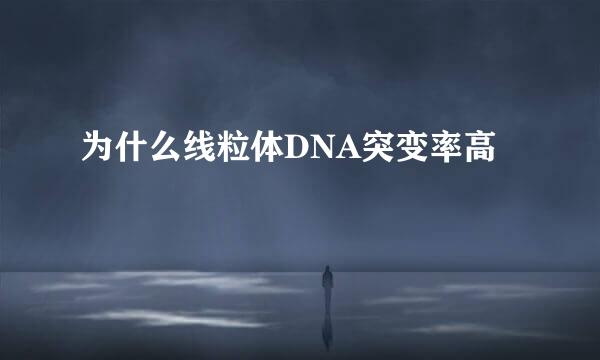 为什么线粒体DNA突变率高