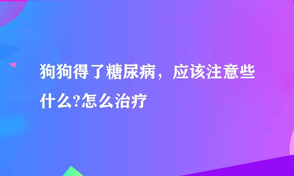 狗狗得了糖尿病，应该注意些什么?怎么治疗